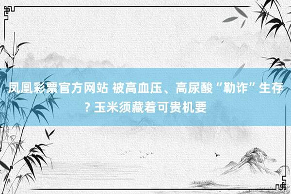 凤凰彩票官方网站 被高血压、高尿酸“勒诈”生存? 玉米须藏着可贵机要
