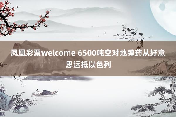 凤凰彩票welcome 6500吨空对地弹药从好意思运抵以色列