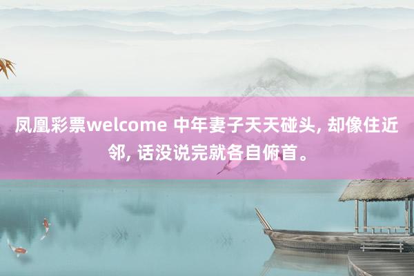 凤凰彩票welcome 中年妻子天天碰头， 却像住近邻， 话没说完就各自俯首。
