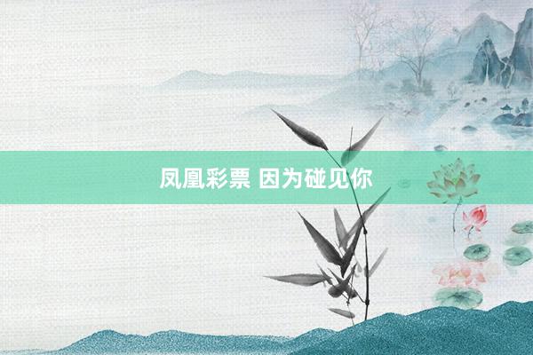 凤凰彩票 因为碰见你