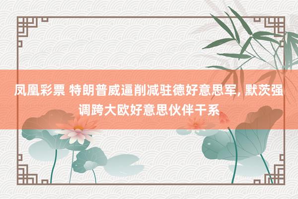 凤凰彩票 特朗普威逼削减驻德好意思军， 默茨强调跨大欧好意思伙伴干系