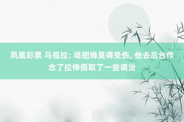 凤凰彩票 马祖拉: 塔图姆莫得受伤， 他去后台作念了拉伸摄取了一些调治