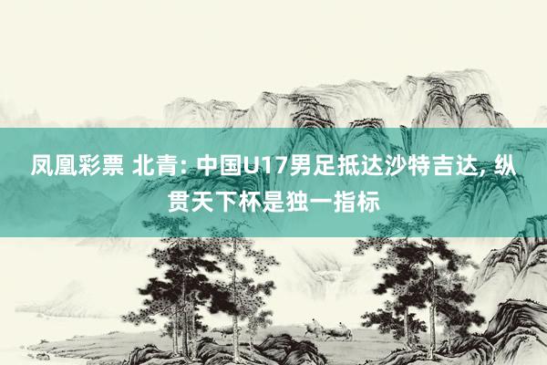 凤凰彩票 北青: 中国U17男足抵达沙特吉达， 纵贯天下杯是独一指标