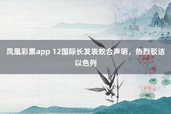 凤凰彩票app 12国际长发表蚁合声明，热烈驳诘以色列