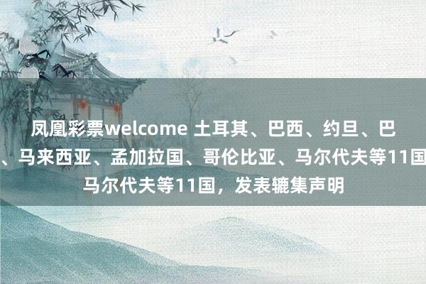 凤凰彩票welcome 土耳其、巴西、约旦、巴基斯坦、西班牙、马来西亚、孟加拉国、哥伦比亚、马尔代夫等11国，发表辘集声明