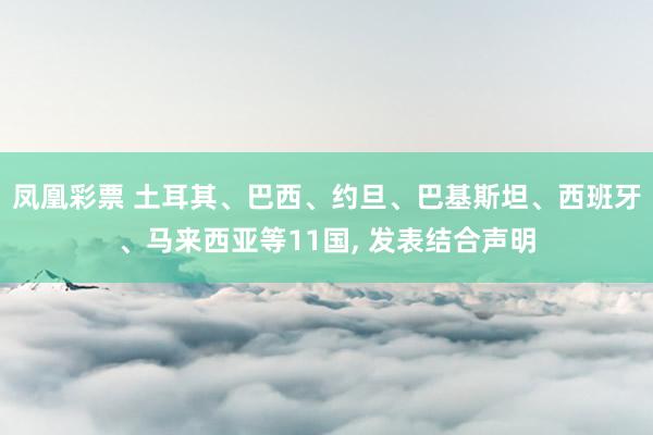 凤凰彩票 土耳其、巴西、约旦、巴基斯坦、西班牙、马来西亚等11国， 发表结合声明