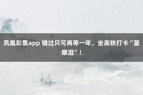 凤凰彩票app 错过只可再等一年，坐高铁打卡“蓝眼泪”！