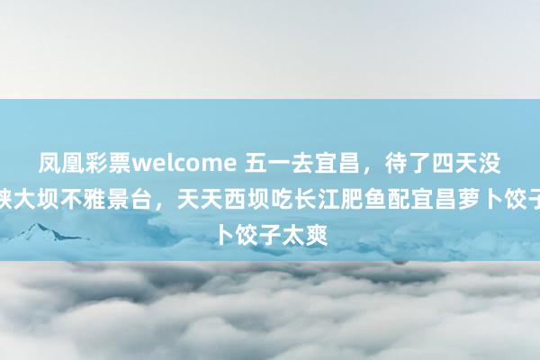 凤凰彩票welcome 五一去宜昌，待了四天没挤三峡大坝不雅景台，天天西坝吃长江肥鱼配宜昌萝卜饺子太爽