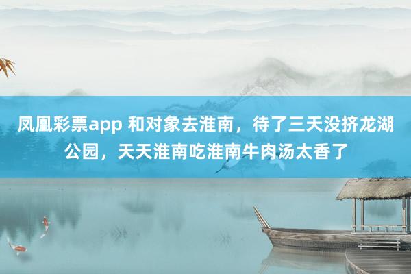 凤凰彩票app 和对象去淮南，待了三天没挤龙湖公园，天天淮南吃淮南牛肉汤太香了