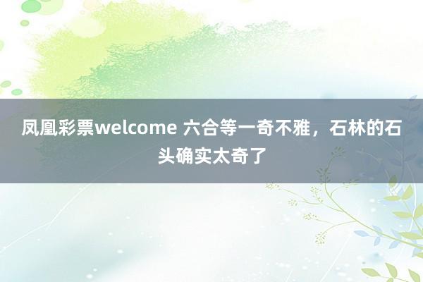凤凰彩票welcome 六合等一奇不雅，石林的石头确实太奇了