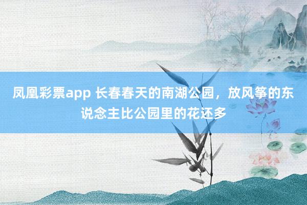 凤凰彩票app 长春春天的南湖公园，放风筝的东说念主比公园里的花还多