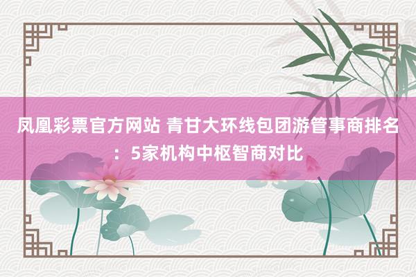 凤凰彩票官方网站 青甘大环线包团游管事商排名：5家机构中枢智商对比