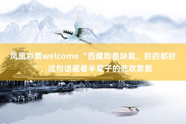 凤凰彩票welcome “西藏即是缺氧，别的都好”，这句话藏着半辈子的悲欢聚散