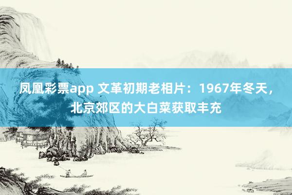 凤凰彩票app 文革初期老相片：1967年冬天，北京郊区的大白菜获取丰充