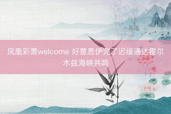 凤凰彩票welcome 好意思伊完了迟缓通达霍尔木兹海峡共鸣