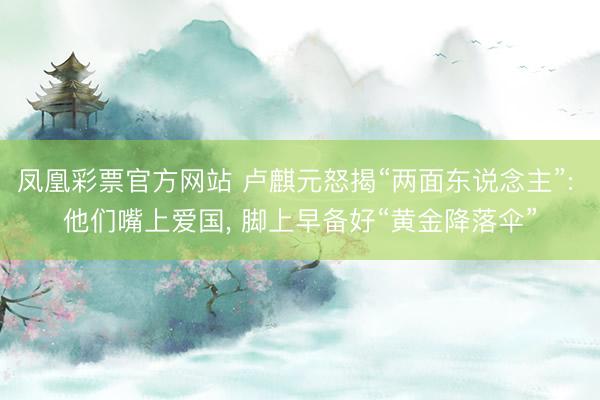 凤凰彩票官方网站 卢麒元怒揭“两面东说念主”: 他们嘴上爱国， 脚上早备好“黄金降落伞”