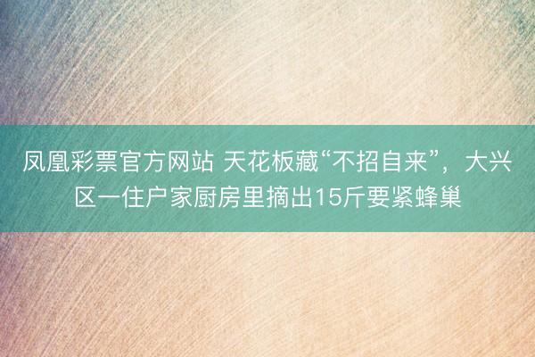 凤凰彩票官方网站 天花板藏“不招自来”，大兴区一住户家厨房里摘出15斤要紧蜂巢